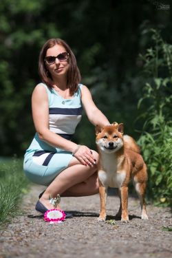 picture of dog