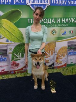 picture of dog