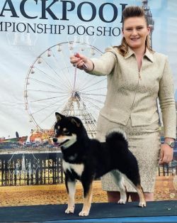 picture of dog