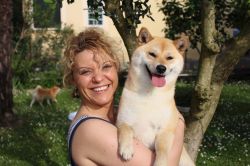 picture of dog