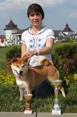 picture of dog