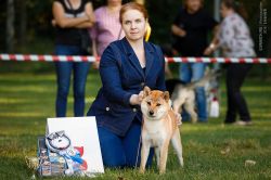 picture of dog