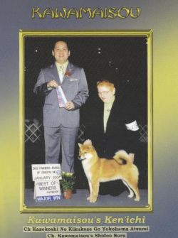 picture of dog