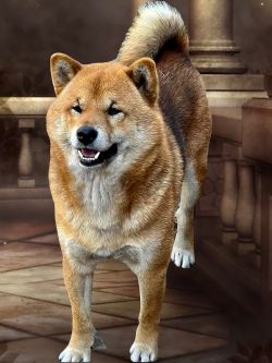 picture of dog