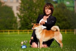 picture of dog