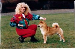 picture of dog