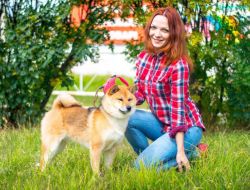 picture of dog