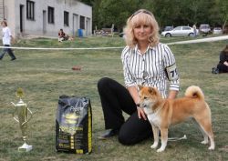 picture of dog