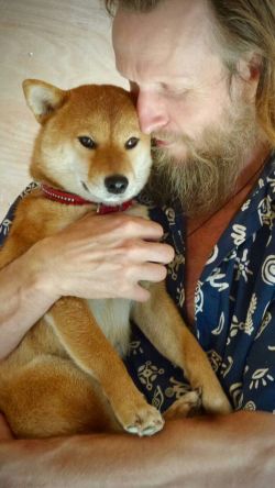 picture of dog