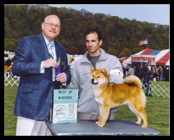 picture of dog