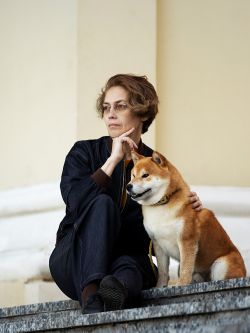 picture of dog