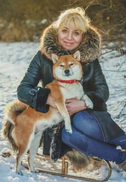 picture of dog