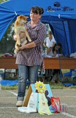 picture of dog