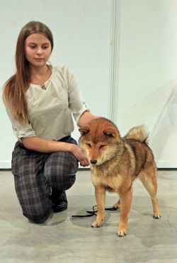 picture of dog