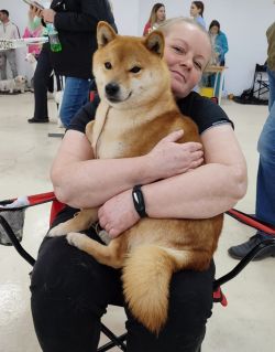 picture of dog