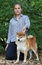 picture of dog