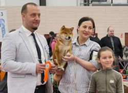 picture of dog