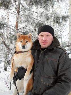 picture of dog