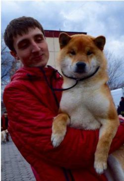 picture of dog