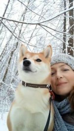 picture of dog