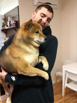picture of dog