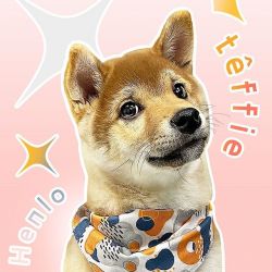 picture of dog