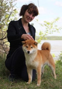 picture of dog