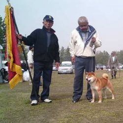 picture of dog