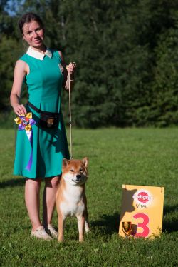 picture of dog