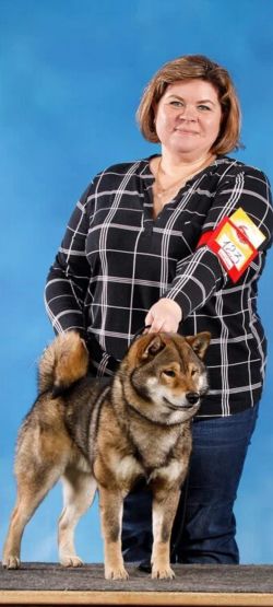 picture of dog