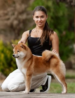 picture of dog