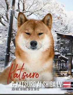 picture of dog
