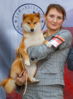 picture of dog
