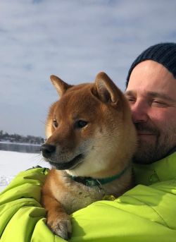 picture of dog