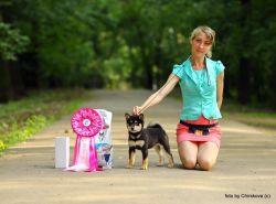 picture of dog