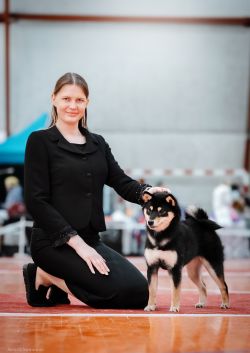 picture of dog