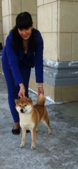 picture of dog