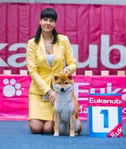 picture of dog