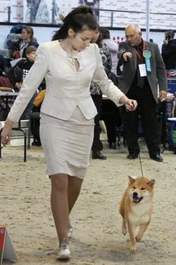 picture of dog