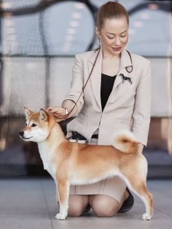 picture of dog