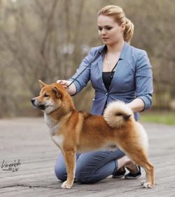 picture of dog