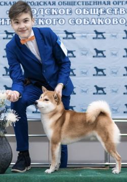 picture of dog