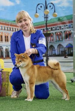 picture of dog