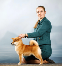 picture of dog