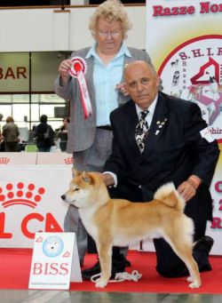 picture of dog