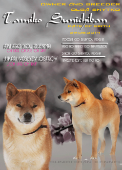 picture of dog