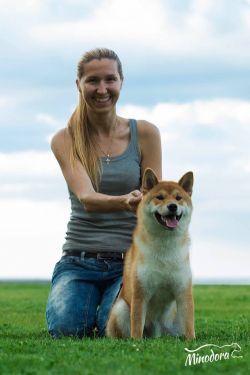picture of dog