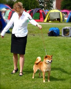 picture of dog