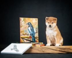 picture of dog
