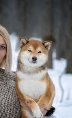picture of dog
